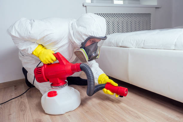 Best Emergency Pest Control  in Zimmerman, MN