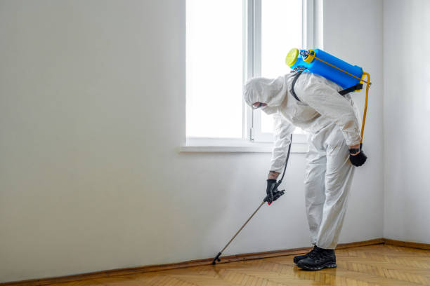 Best Affordable Pest Control Services  in Zimmerman, MN
