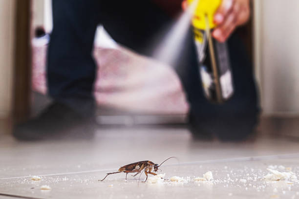 Best Pest Prevention Services  in Zimmerman, MN
