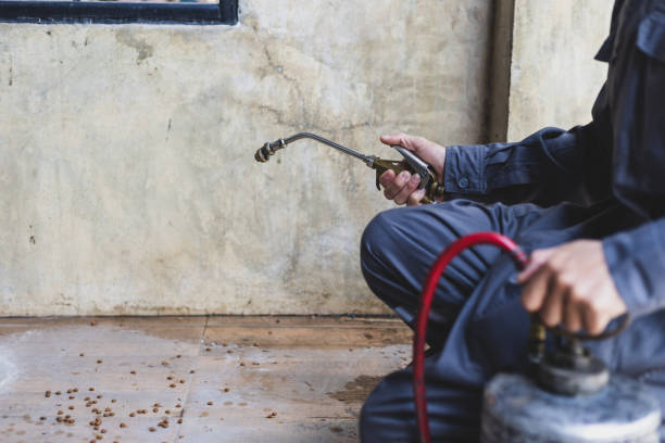 Best Local Pest Control Services  in Zimmerman, MN